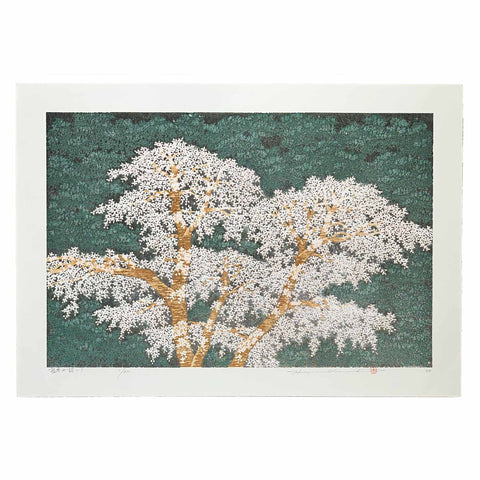 Hajime Namiki, "Shidare Sakura No. 3"