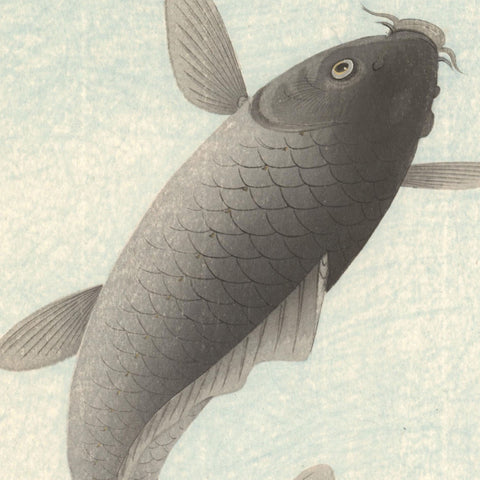Komori Soseki, "Leaping Carp"