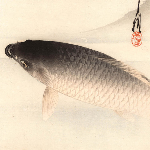 Ogata Gekko, "Rising Carp"