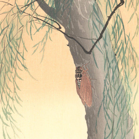Ohara Koson, "Cicada on a Willow Tree"