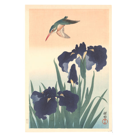 Ohara Koson, "Iris and Kingfisher"