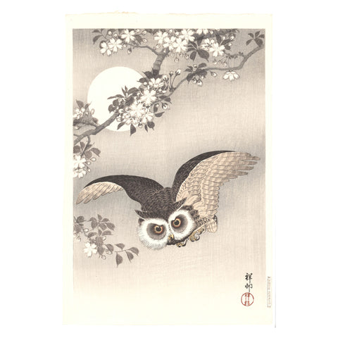 Ohara Koson, "Cherry Tree and Scops Owl Under Moon"