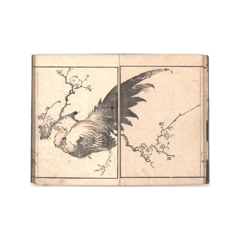 Seki Bunsen, "Bunsen Gafu"