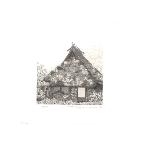 Tanaka Ryohei, "Grass on Roof"