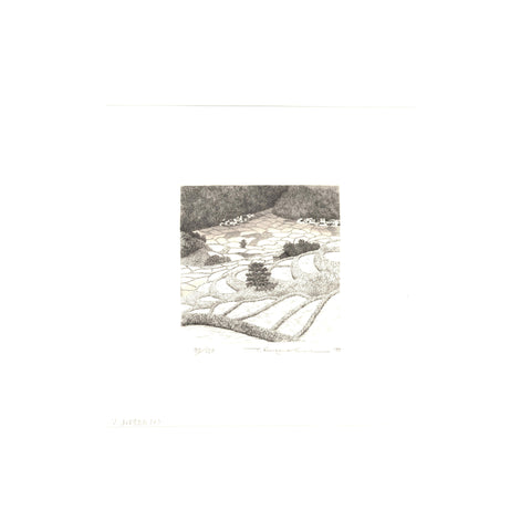 Tanaka Ryohei, "Mountain Village in May"