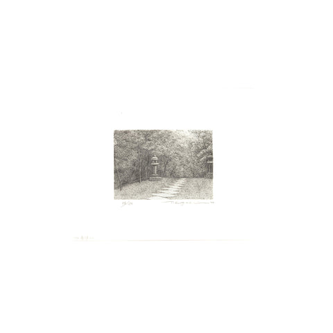Tanaka Ryohei, "Sando, Shrine"