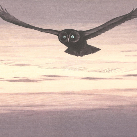Toshi Yoshida, "Flying"