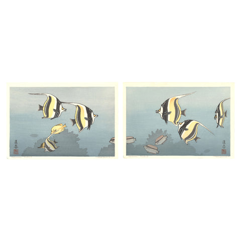 Toshi Yoshida, "Hawaiian Fishes B" (PS)