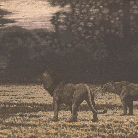 Toshi Yoshida, "One Day in East Africa, No. 10"