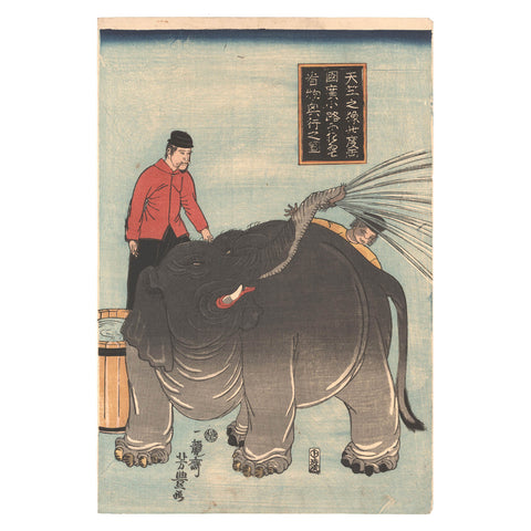 Utagawa Yoshitoyo, "Elephant in Ryogoku"