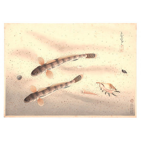Ohno Bakufu "Mahaze"