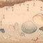 Totoya Hokkei, "Shell Collection"