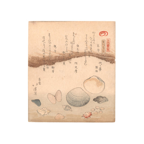 Totoya Hokkei, "Shell Collection"