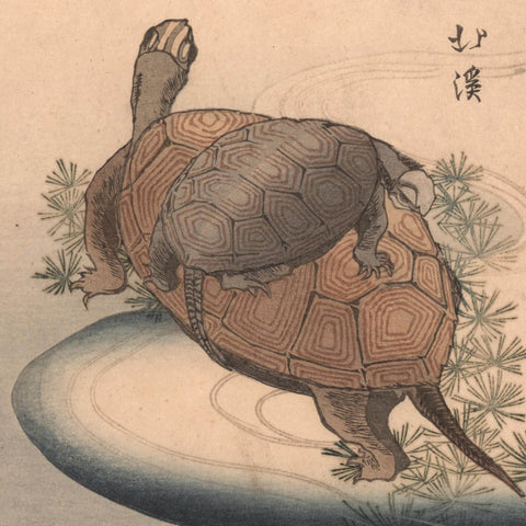 Totoya Hokkei, "Turtles and Plum Blossoms"