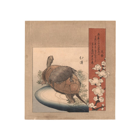 Totoya Hokkei, "Turtles and Plum Blossoms"