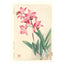 Kawarazaki Shodo, "Orchids"