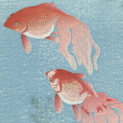 Komori Soseki, "Goldfish"