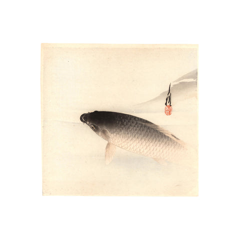 Ogata Gekko, "Rising Carp"