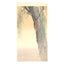 Ohara Koson, "Cicada on a Willow Tree"