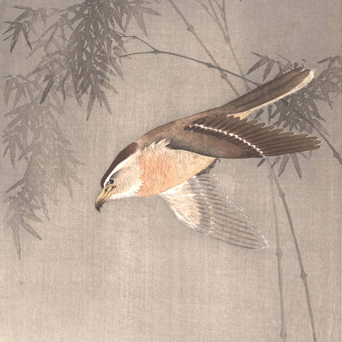 Ohara Koson, "Hawk Chasing an Insect"