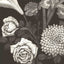 Tanaka Ryohei, "Flowers"