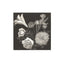 Tanaka Ryohei, "Flowers"