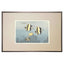Toshi Yoshida, "Hawaiian Fishes A" (PS)