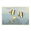 Toshi Yoshida, "Hawaiian Fishes A" (PS)