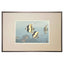 Toshi Yoshida, "Hawaiian Fishes B" (PS)