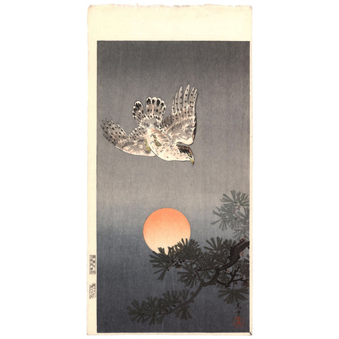 Tsuchiya Koitsu, "Goshawk"