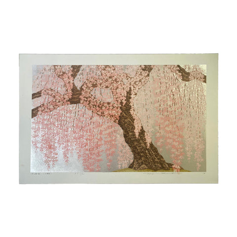 Hajime Namiki, "Fusehime Cherry, Chiba"