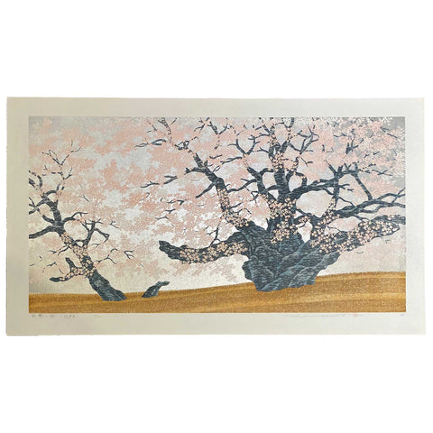 Hajime Namiki, "Garyu Cherry, Gifu"