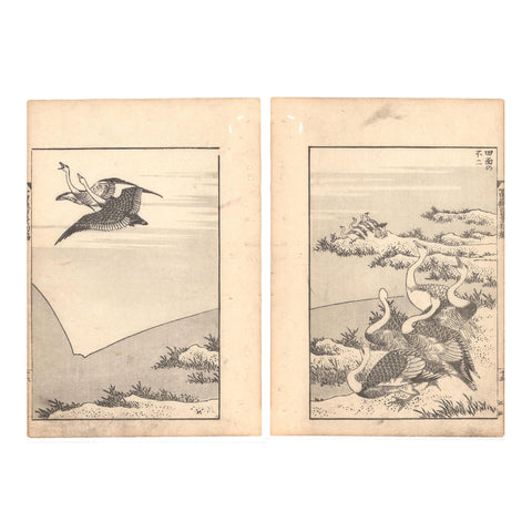 Katsushika Hokusai, "Fuji on the Face of a Paddy"