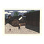 Kiyoshi Saito, "Spring in Aizu"