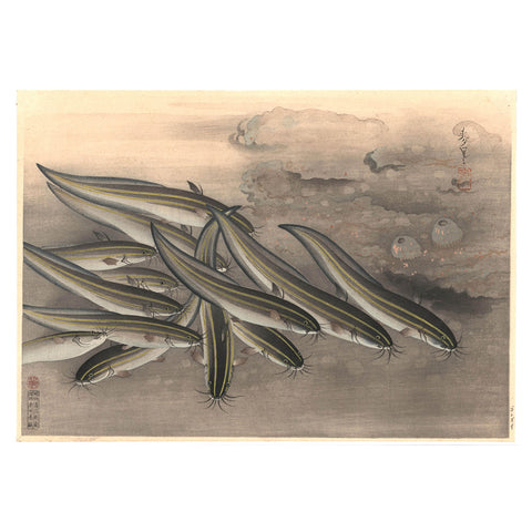 Ohno Bakufu "Striped Catfish (Gonzui)"