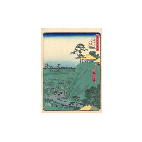 Utagawa Hiroshige II, "Irises at Horikiri"